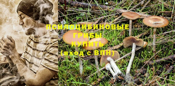 соль ск Белоозёрский