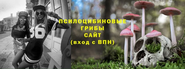 прущие крисы Белокуриха