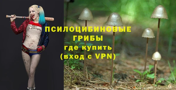 гашиш Беломорск